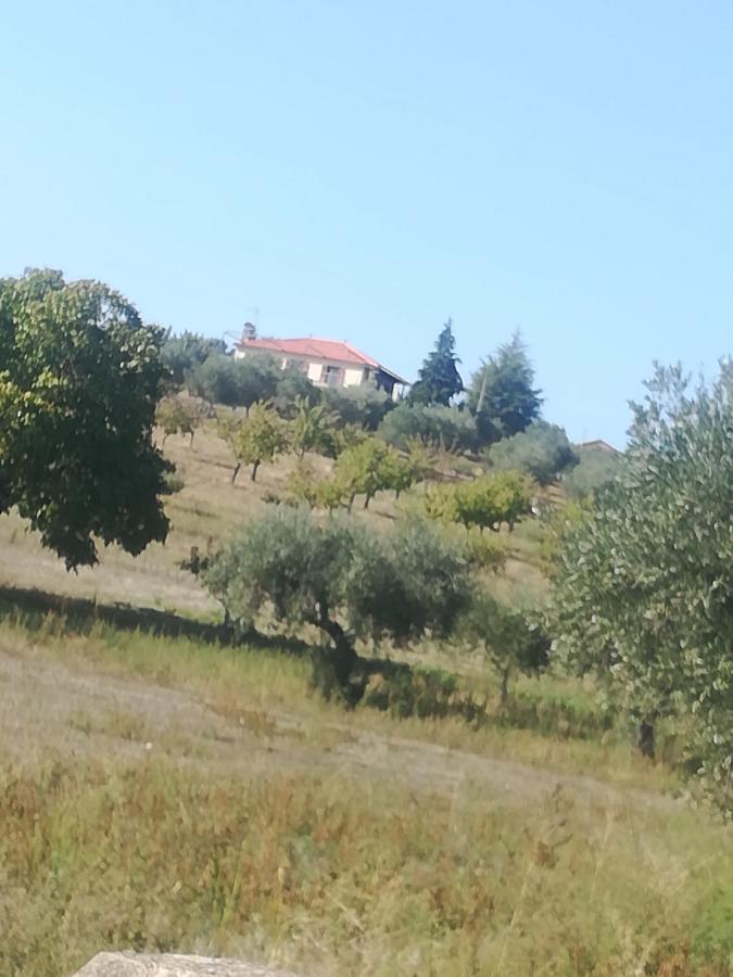 מסדו דה קבליירוס Casa Das Argolas מראה חיצוני תמונה